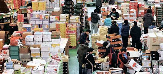 生鲜农产品的最后一公里 食品销售的突破口