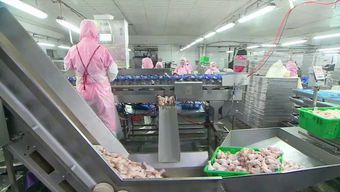 庆云和美食品销售额突破2亿元，产业兴旺助力周边就业改善